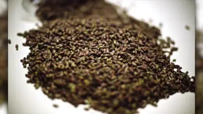 McCormick predicts this flavor will dominate menus in 2026