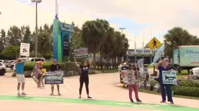 Animal advocates outside Miami Seaquarium voice concerns about relocations after park closes