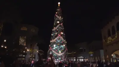 Guests gather in Orlando to witness Christmas tree lighting ceremony at Disney Springs