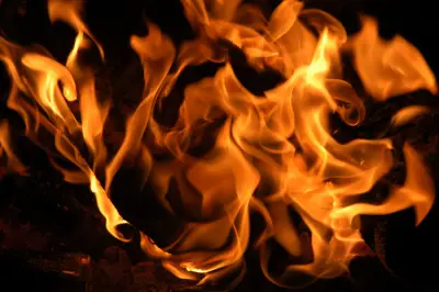 Firefighters halt 30-acre wildfire in San Jose