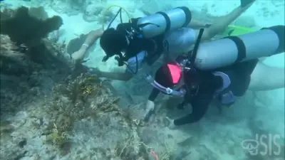 ‘Jr Scientists In The Sea’ gives South Florida kids an opportunity to learn how to scuba dive and protect the ocean