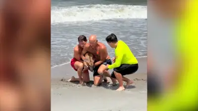 Lifeguards rescue deer in Flagler Beach