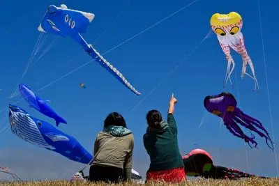 How to catch the coolest coastal breezes on the Bay: A scientific guide
