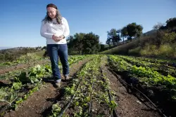 Nonprofit farm in Los Gatos helps feed those in need