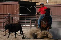 As the Bill Pickett Rodeo returns, Black cowboy culture sees a resurgence in the Bay Area