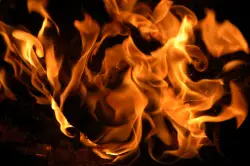 Firefighters halt 30-acre wildfire in San Jose