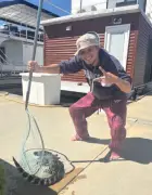 DC man catches alligator at The Wharf