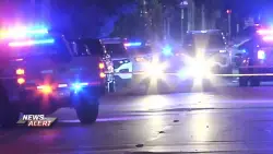 Elderly woman, 2 men hospitalized after overnight shooting in Miami