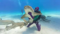 Shark Week is back, and it’s got dancing shoes on
