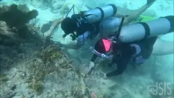 ‘Jr Scientists In The Sea’ gives South Florida kids an opportunity to learn how to scuba dive and protect the ocean