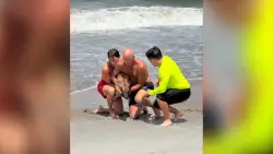 Lifeguards rescue deer in Flagler Beach