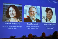 The medicine Nobel Prize goes to 3 scientists for work on peripheral immune tolerance
